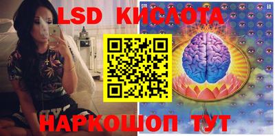 тгк Бийск