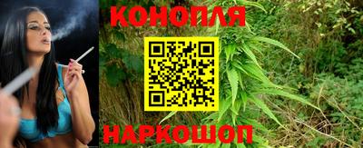 тгк Бийск