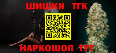 тгк Бийск