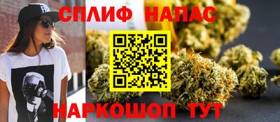тгк Бийск