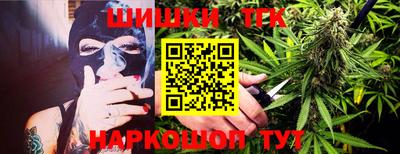 тгк Бийск