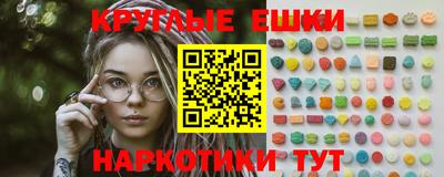 тгк Бийск