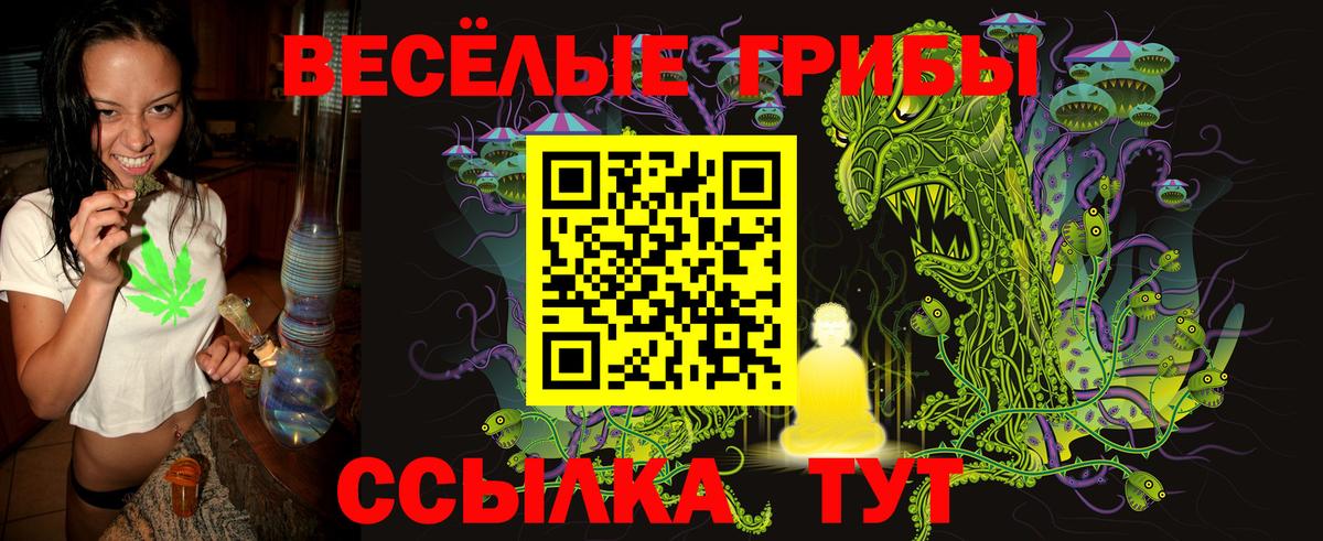 Псилоцибиновые грибы Cubensis Звенигород