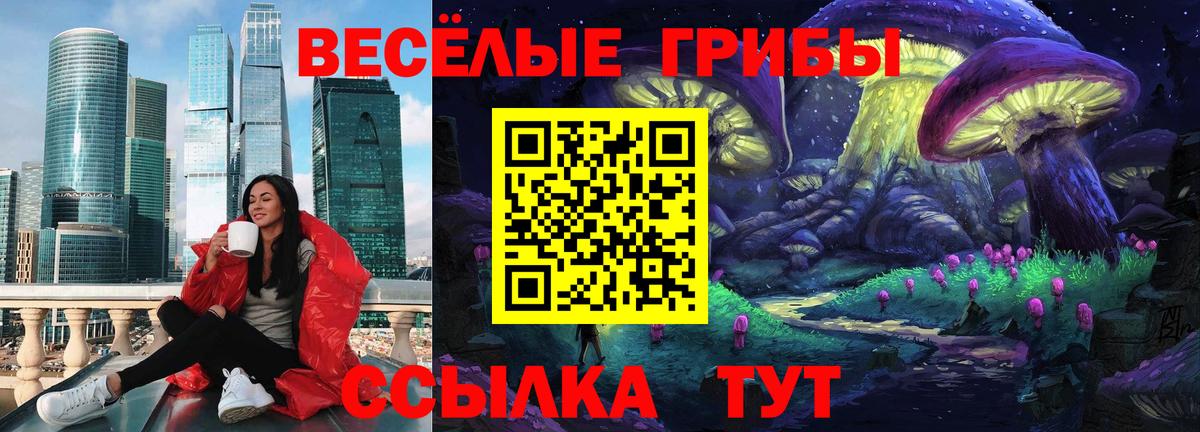 Псилоцибиновые грибы мицелий  Вход с VPN  Звенигород 